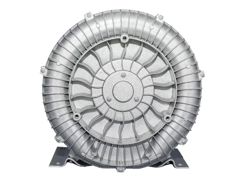 Options of Vortex Vacuum Pump