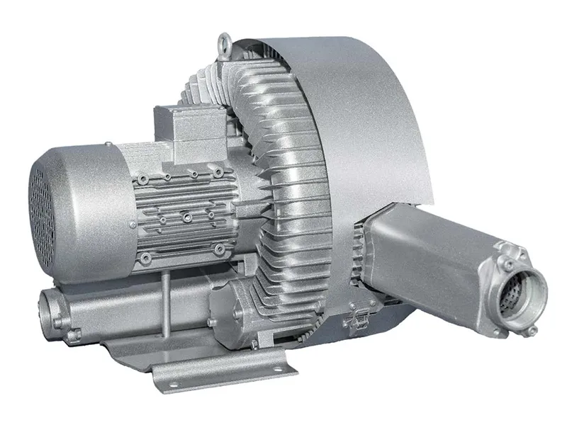 Options of Vortex Vacuum Pump